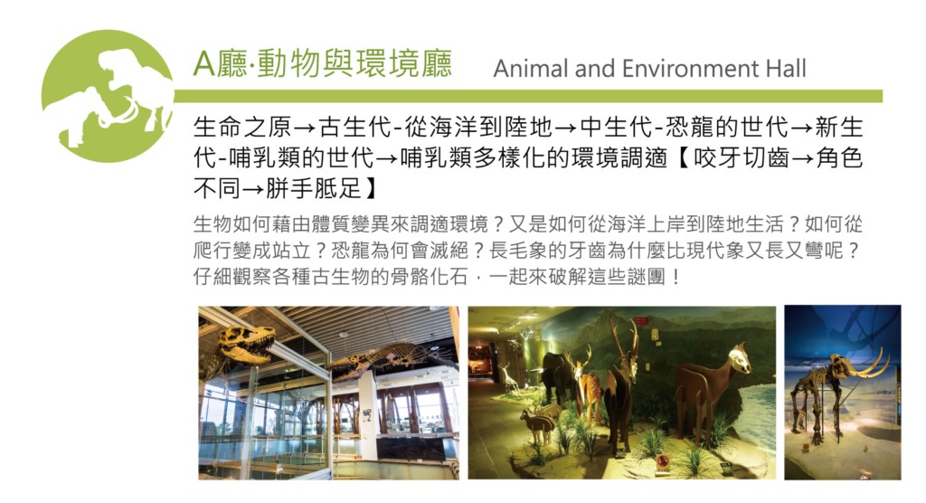 A廳-動物與環境廳
